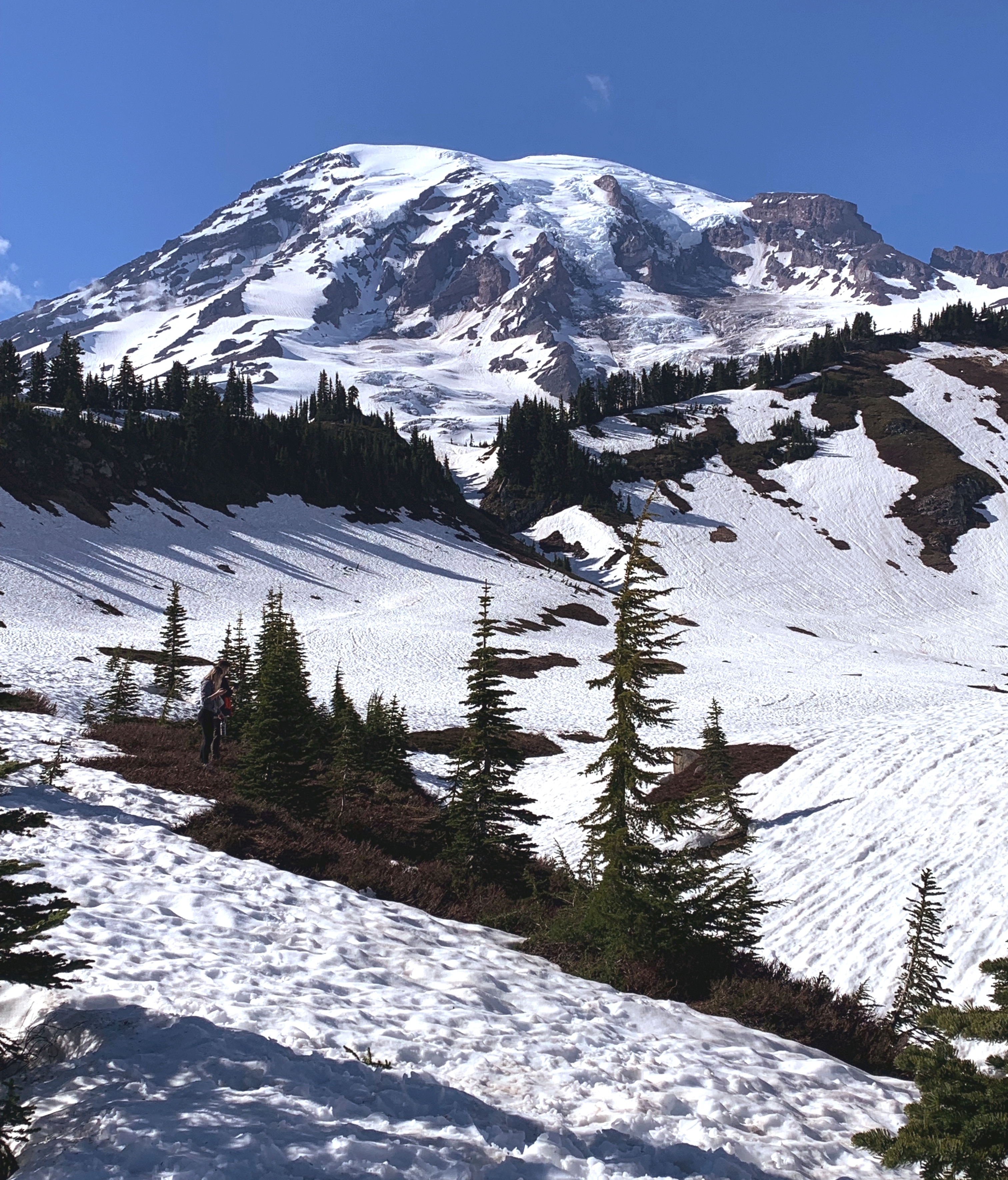 Mt Rainier